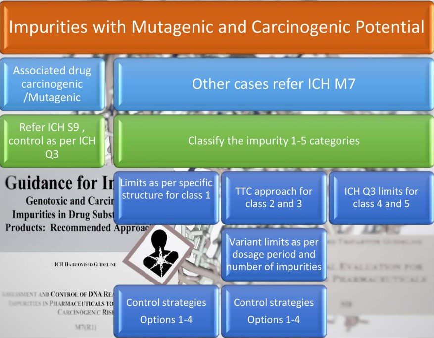 impurity-profiling-of-solid-oral-drug-products-5